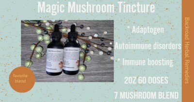 Mushroom Adaptogen Herbal Tincture.  2oz, Autoimmune 