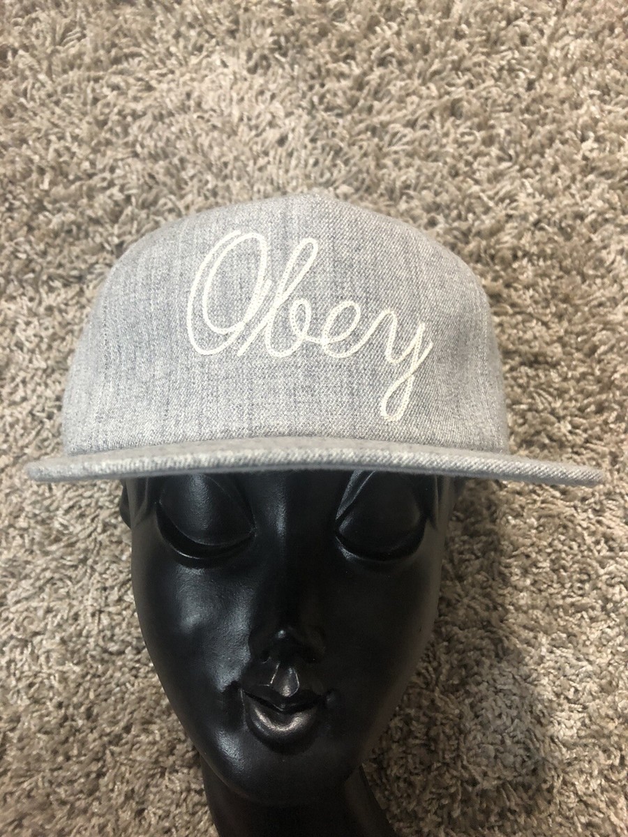 NWT Obey Worldwide Hat Needle Logo Panel Gray Baseball Cap
