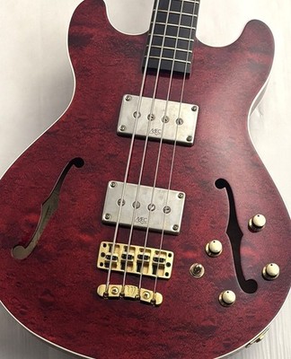 Warwick Star Bass 4-saitig [GEBRAUCHT] mit Gigbag