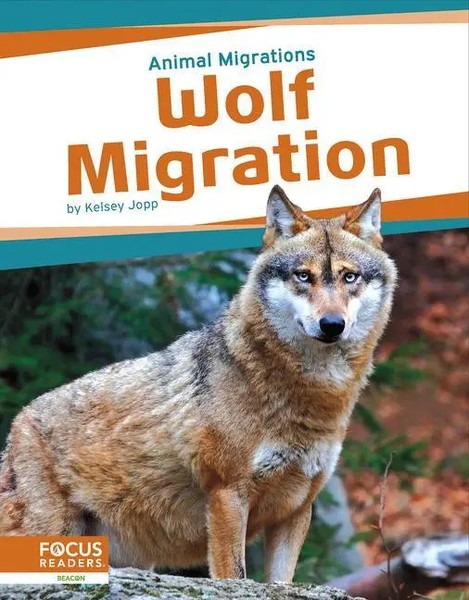 Kelsey Jopp | Wolf Migration | Buch | Englisch (2023) | Gebunden-image