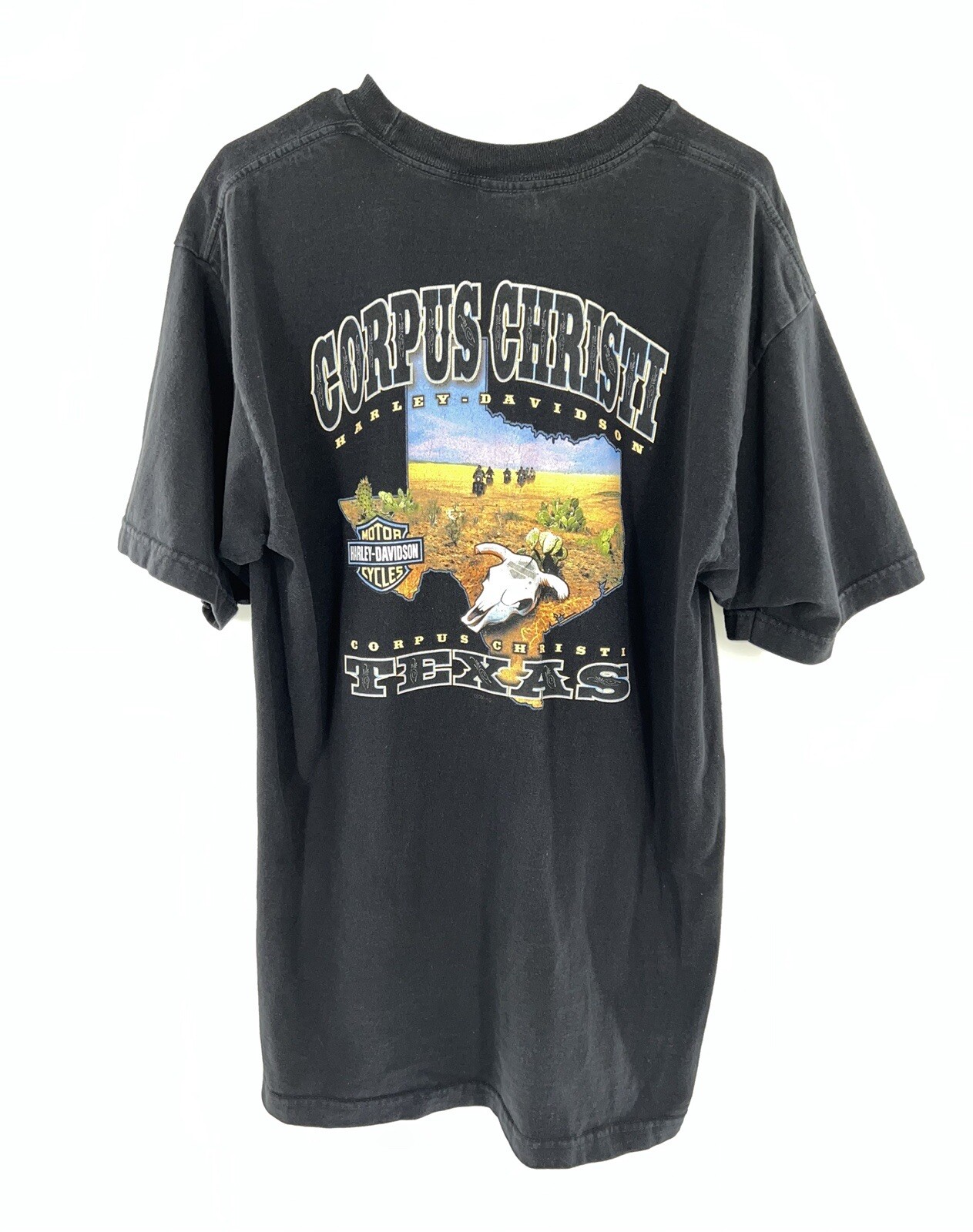HARLEY DAVIDSON Men's T Shirt Corpus Christi Texas Bl… Gem