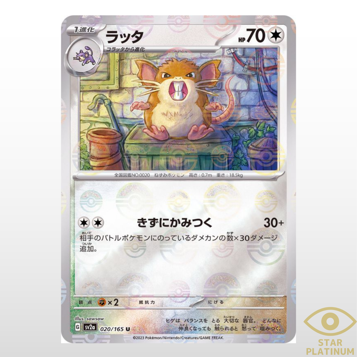 charizard card sleeves Pokmon Charizard Vmax Sleeves (1 pack