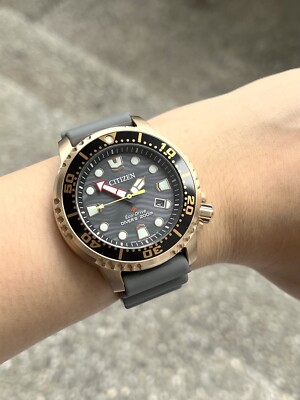 New! Citizen Promaster Diver Watch BN0163-00H Eco-Drive Grey