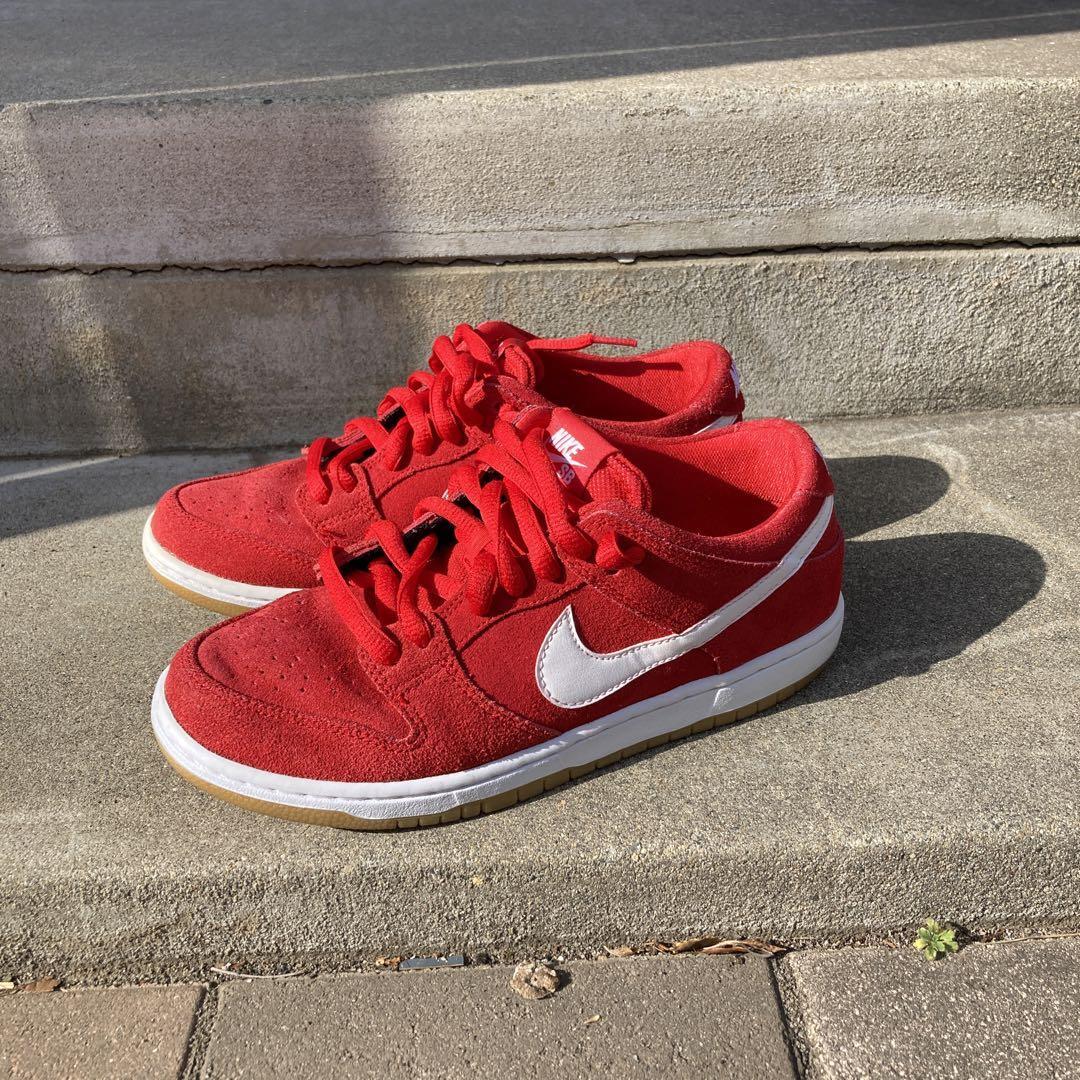 NIKE SB DUNK LOW PRO トワレ Size 8 - Nike Dunk Pro SB Low ACG Terra 194276064771| eBay