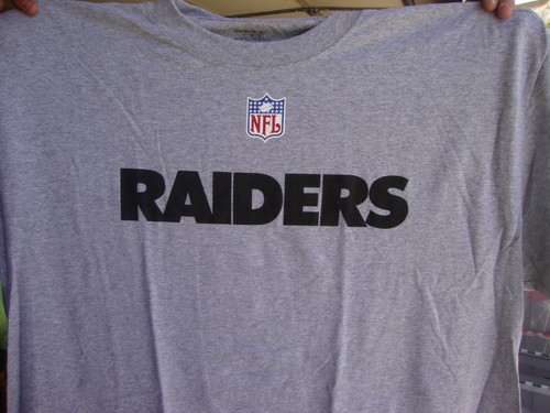 NFL Raiders Ash Reebok Sideline T-Shirt 