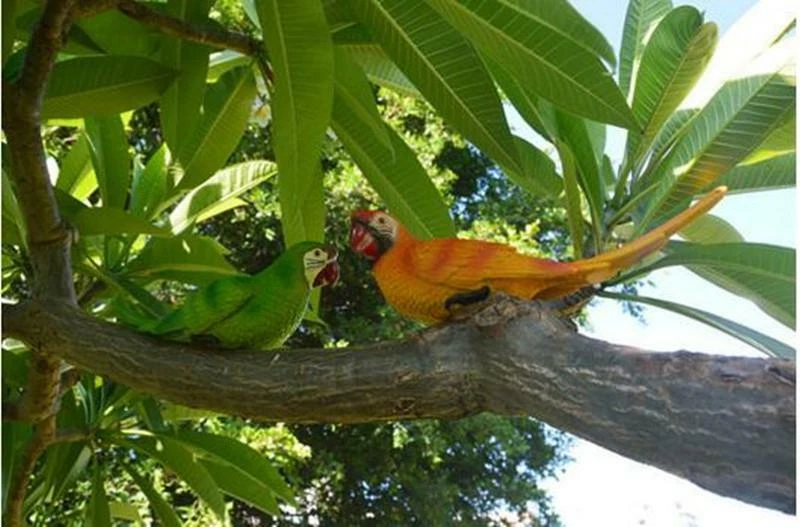 Смола моделирования попугай птицы скульптура милый стены вися ремесла дерево декор (B) - Изображение 3 из 4
