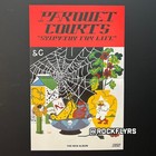 PARQUET COURTS "SYMPATHY FOR LIFE" Record store promo poster — photo 3