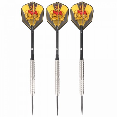 Michael Smith 2023 Steeldart, World Champion, Bully Boy, 25 Gramm