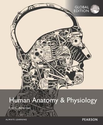 Menschliche Anatomie Und Physiologie, Globale Ausgabe Taschenbuch Erin C. Am