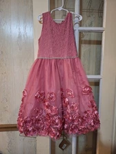 Nannette girls dress Rhinestones size 10 Rosettes Sleeveless Lace Lined Pink