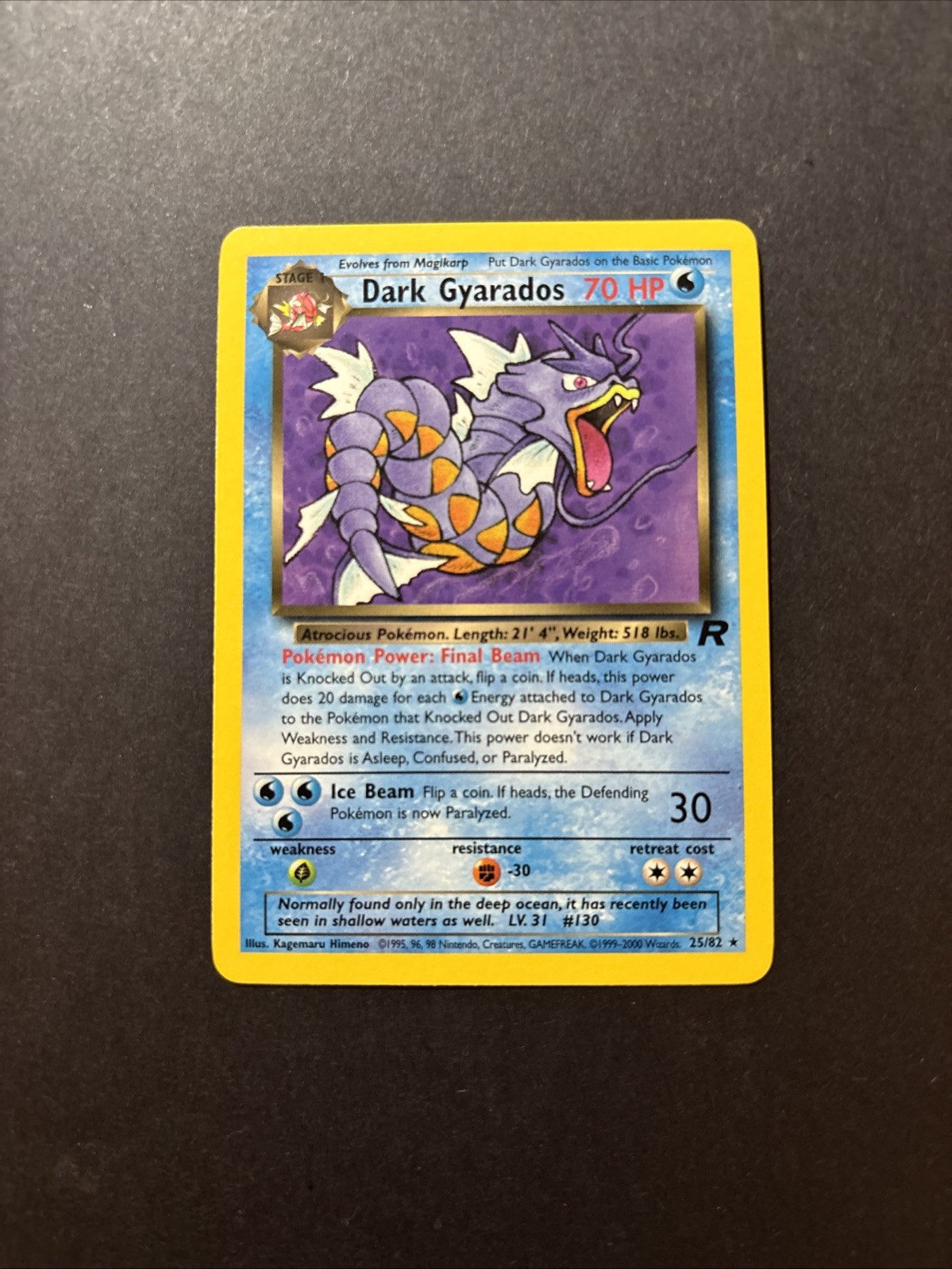 Dark Gyarados 25/82 Team Rocket Regular Unlimited Pokémon WOTC NM