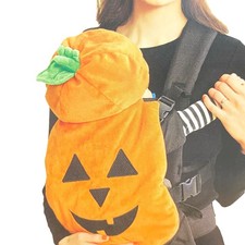 Hyde & Eek Infant Boys Girls Plush Pumpkin Infant Carrier Costume One Size