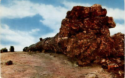 Old Faithful, Petrified Forest National Monument, Arizona, Mike Postcard