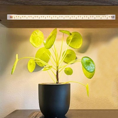 USB Plant Growth Light 3/9/12H Timer LED Phyto Lamp Flower Seed Hydroponic Light
