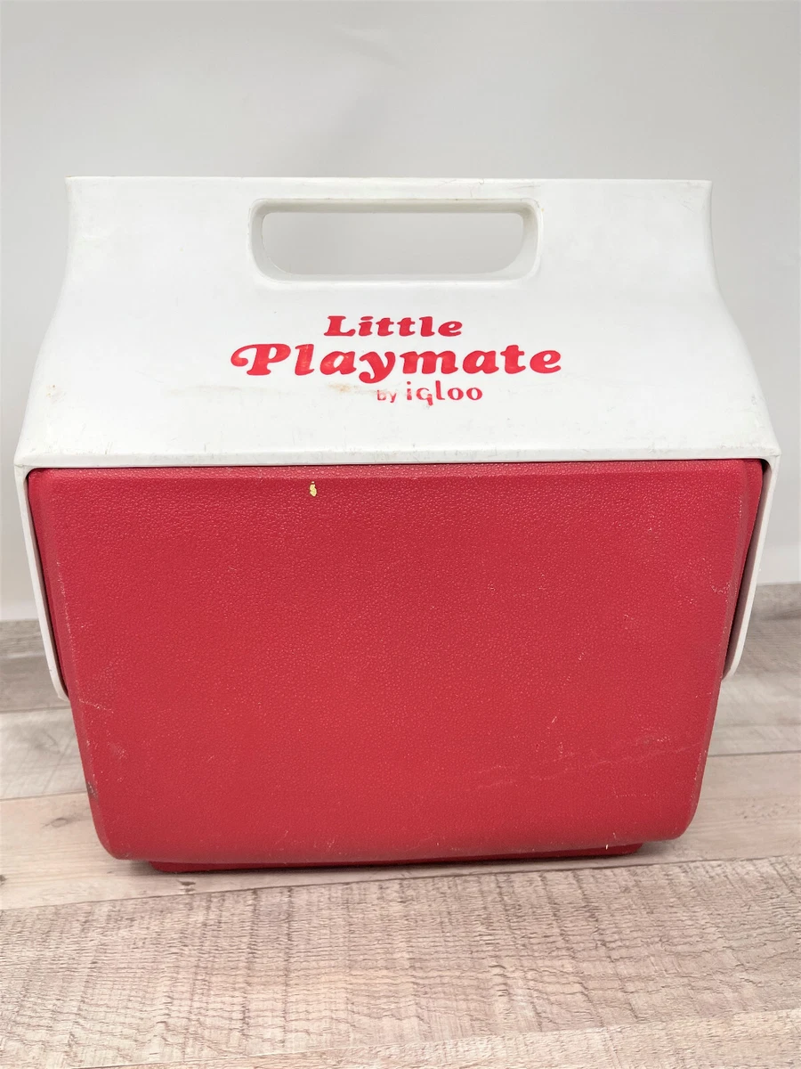 Igloo hotsell lunch box