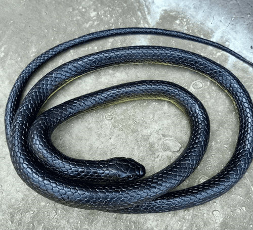 Serpente realistico finto 43" realistico spaventoso giocattolo gomma scherzo festa regalo Pasqua - Foto 4 di 17