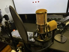 Warm Audio WA-8000G Limited Edition Gold Large-Diaphragm Condenser Microphone