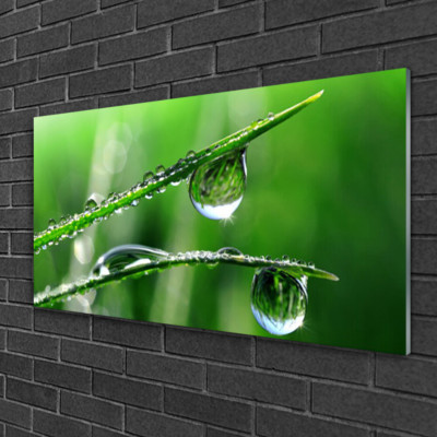 Tulup Tableau murale Impression sous verre 125x50 Rosée