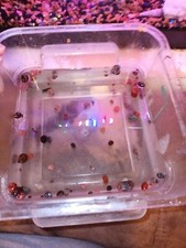 15+ Mixed (Pink/Blue/Red/Brown) Beautiful Ramshorn Snails Live Freshwater