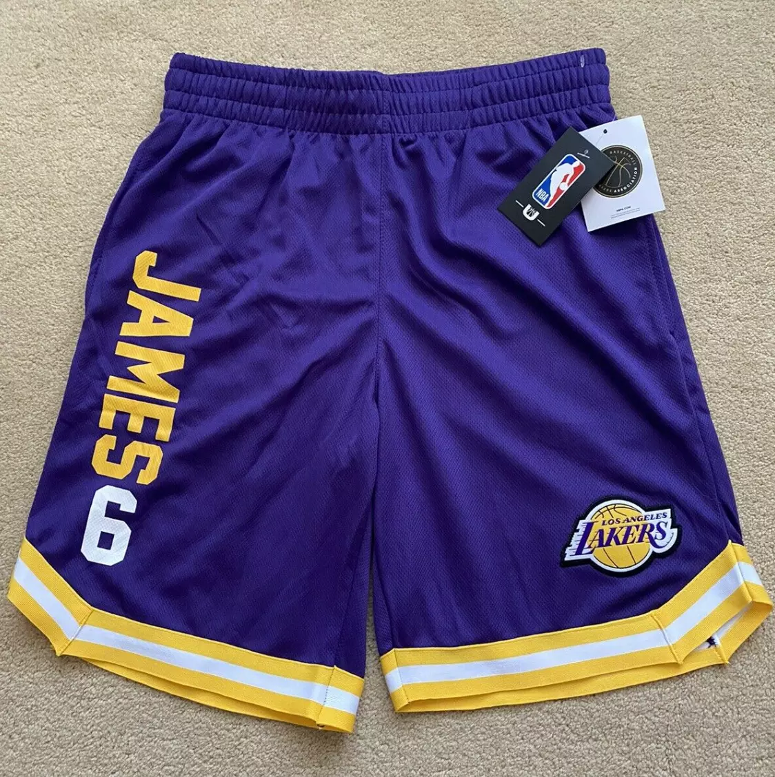 LeBron James #6 Los Angeles Lakers Jersey Shorts NBA Mens (Sz S) Purple  VSMC288F