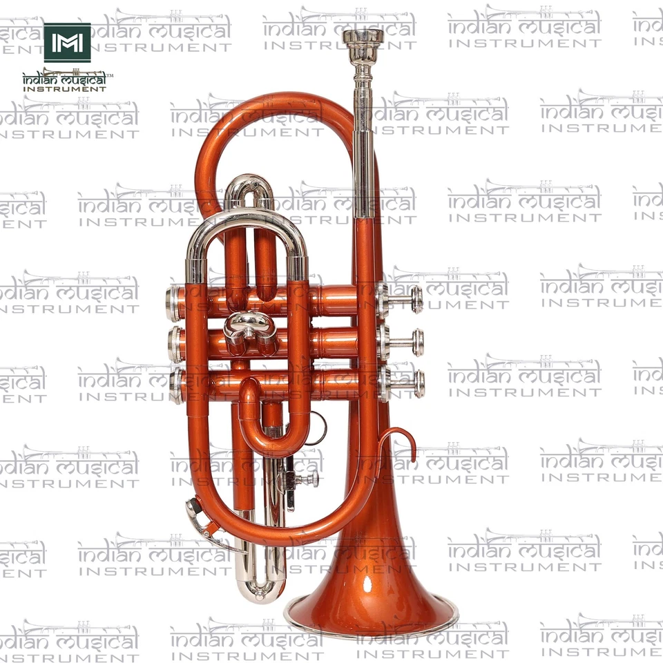 Corneta de latón 3 válvulas paso Bb boquilla lisa guantes estuche instrumentos musicales Foto 2 de 4