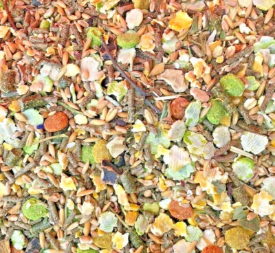 GUINEA PIG FOOD 350g 1kg 3kg 2.5kg 10kg 15kg : BestPets Animal Feed Pet Food Mix