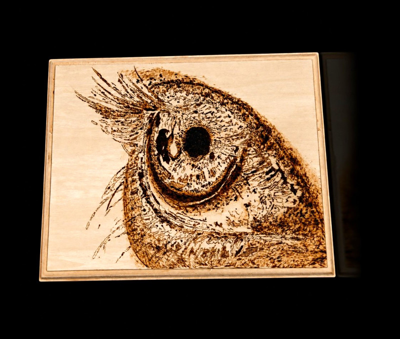Abstract Eye Painting on Wood Panel, Burned/Etched Design, Framed