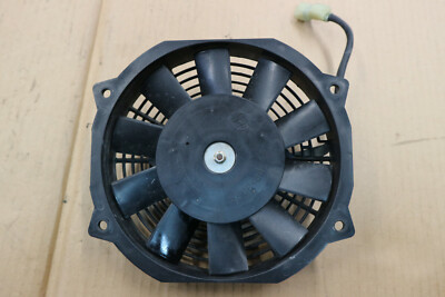 CECTEK Gladiator  500 efi  orig. Kühlerlüfter Motor (alle Modelle)  (21731)