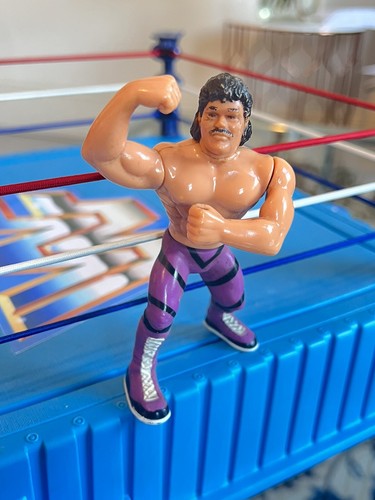 RAVISHING RICK RUDE WWF / WWE Wrestling Figure Vin...
