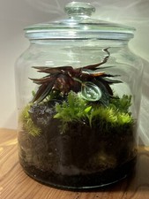 Ökosystem im Glas