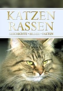 Katzenrassen  von Williams, Emily | Buch | Zustand sehr gut