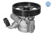 Servolenkungspumpe Citroen Berlingo I (07 96-12 11), C2 C3 I Pluriel (02 02-), C
