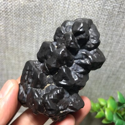 183g Natural Egypt desert stone black king kong Pinecone Prophecy stone  16