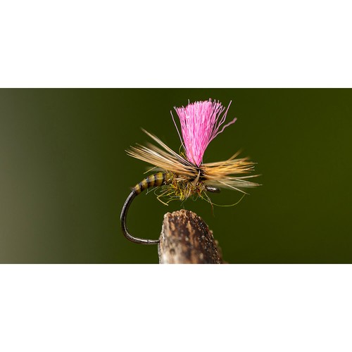 AHREX FW527 BARBLESS BIG GAP DRY FLY HOOK - Black Fly Tying Trout Hooks NEW! - Picture 3 of 3