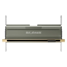 Mr Steam Linear 16 in. W. Steamhead with AromaTherapy Reservoir-Pol Brass