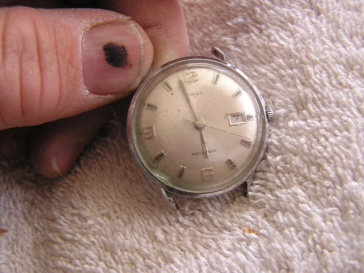 Timex top ebay store