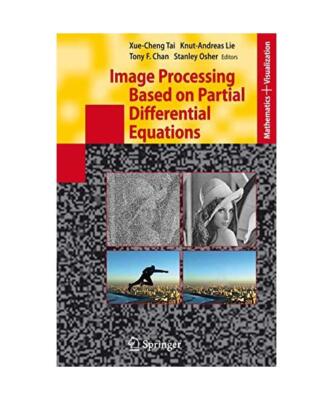 Image Processing Based on Partial Differential Equations: Proceedings of the Int