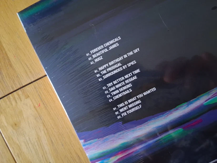 Placebo - 'Never Let Me Go' vinyl LP - NEW and sealed + autographed photo print - Image 4 of 4