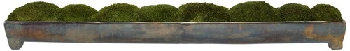 Canal Green Moss 34"W Centerpiece in Oxidized Bronze Tray - Picture 2 of 3