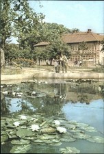 Romania Baile Felix Vedere water lily fountain ~ postcard sku309