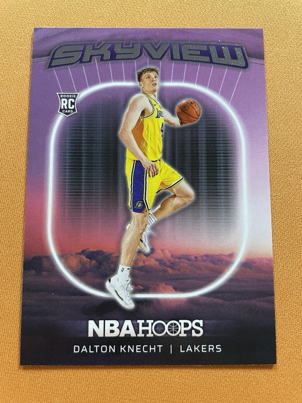 2024-25 Panini NBA Hoops Dalton Knecht Skyview #4 (RC)
