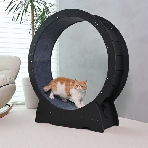 RYpetmia Cat Exercise Wheel Large Wooden/PVC Cat Treadmill Running Wheel Cat Toy - Picture 23 of 65