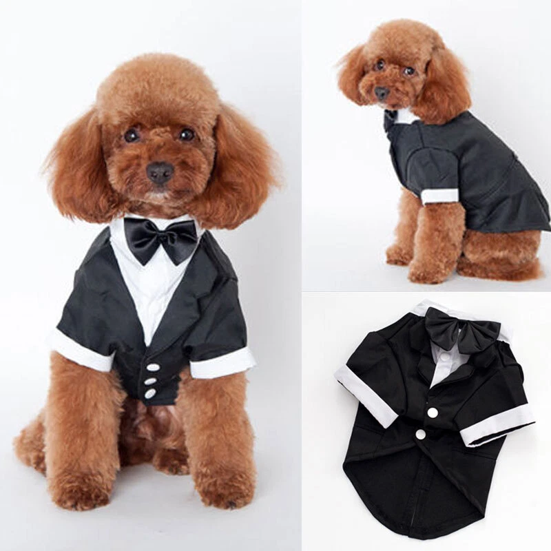 Ropa para Mascotas Boda Formal Camiseta Cachorro Perro Gato Pajarita Esmoquin Caballero Traje EE. UU. Foto 2 de 4