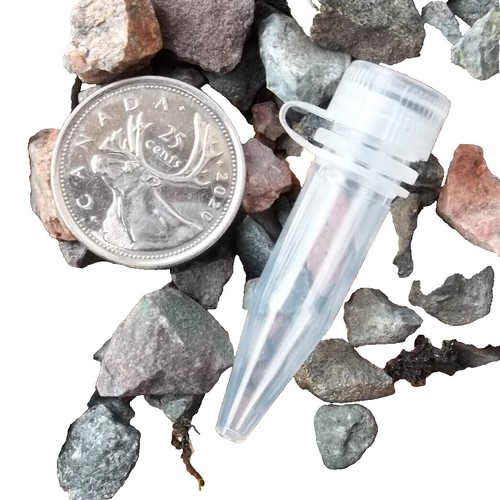 Cache Géocaching BOM - Petit Verre Avec Nano Et Micro Cache - Insecte