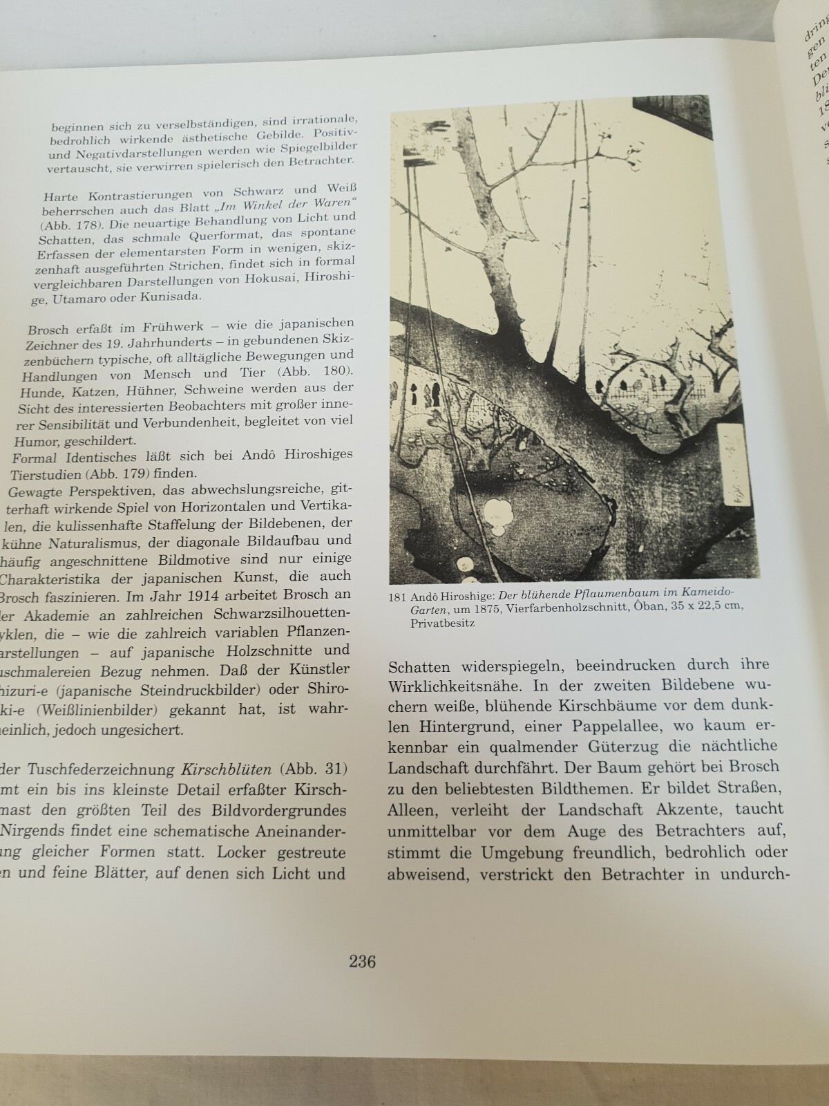 Bild 4 von 5