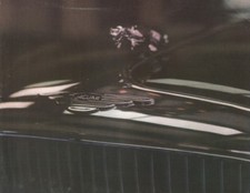 Jaguar 1960's Catalog XK-E Coupe  Mark X Sedan  3.8 Sedan  090718DBE2