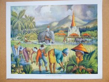 Vintage 1940s UK Macmillan History Geography Print RICE FARMING BURMA ,SE Asia