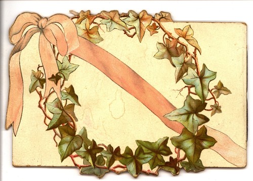 IVY LEAVES, Tuck booklet, floral images, Edwardian artist GIACOMELLI number 1180 - Imagen 7 de 7