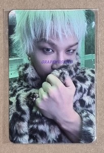 Taeyang Photocard | eBay