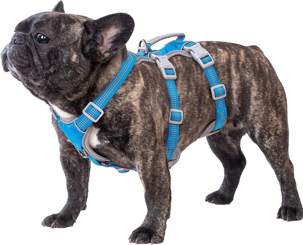 Hundegeschirr FüR MittelgroßE Hunde Sicherheitsgeschirr Verstellbar 1 StüCk-image